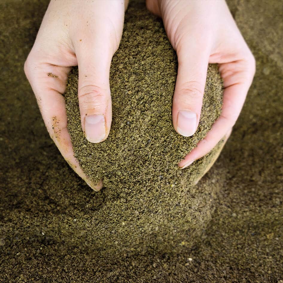 hanf-nacani-cbd-hund-snack-leckerlie-produktion-hanf-protein-pulver