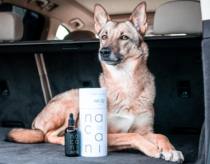 Car rides -  relaxed from A to B