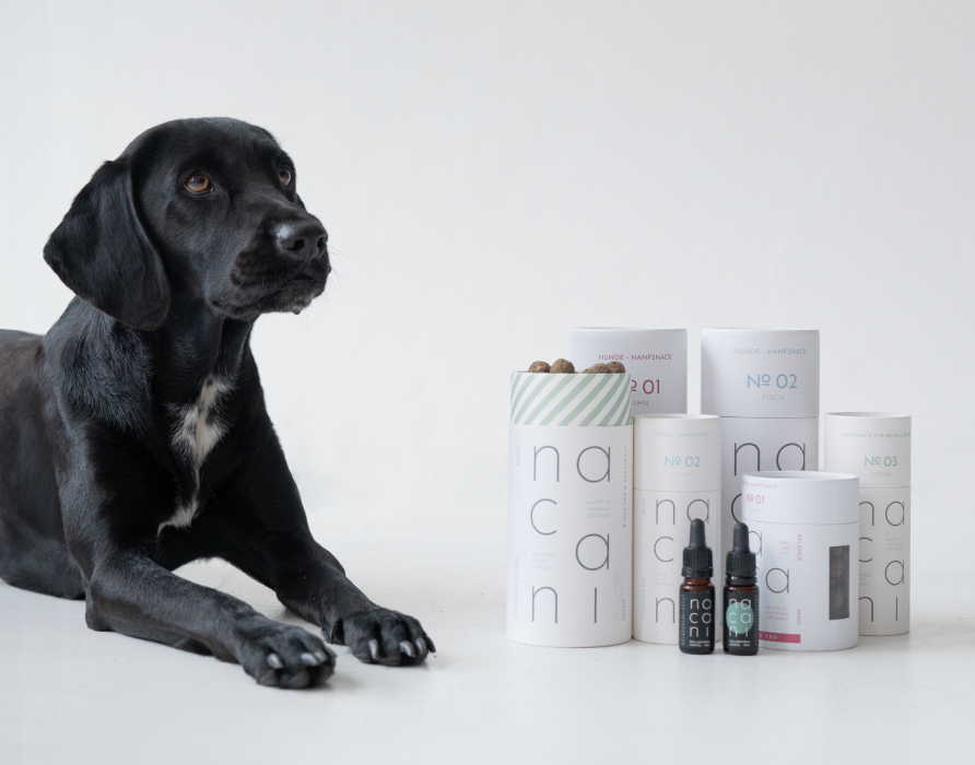 CBD Bundles – Ideal for CBD Newbies