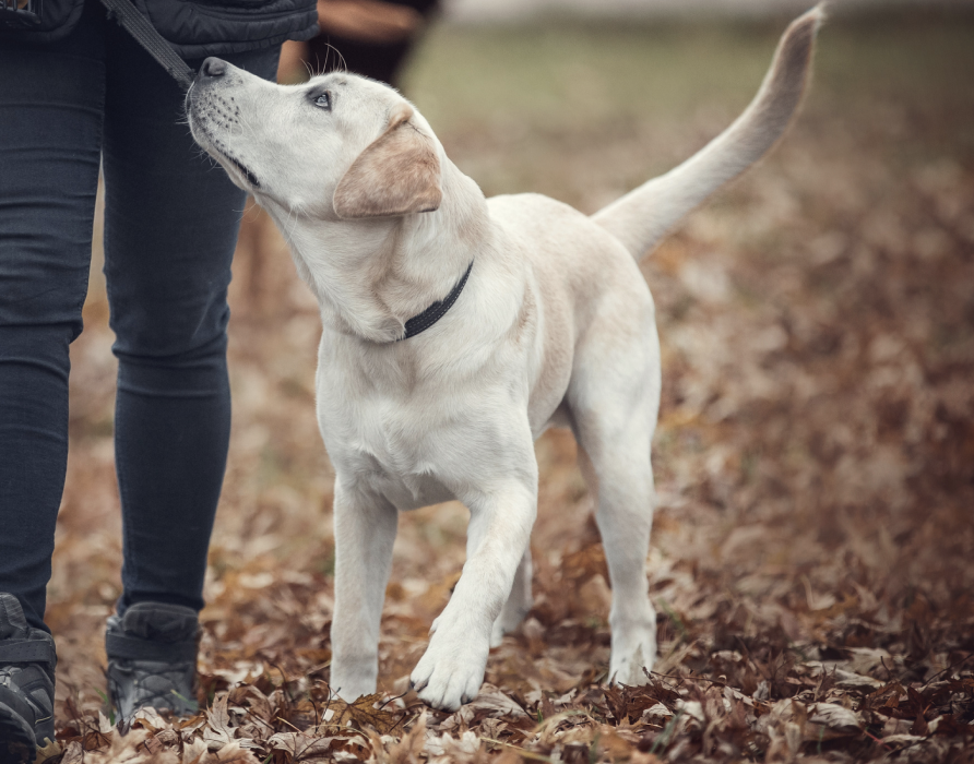Concentration - full focus on the essentials