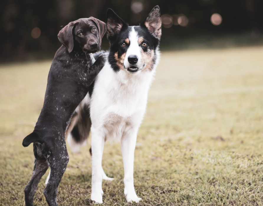 Puberty - relaxed through the most challenging phase of life