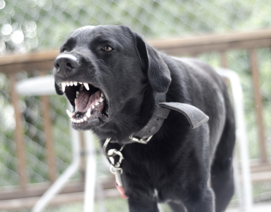 Reactivity - maintaining coolness in all situations