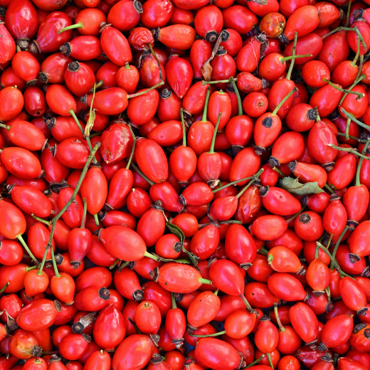 Rosehip peels